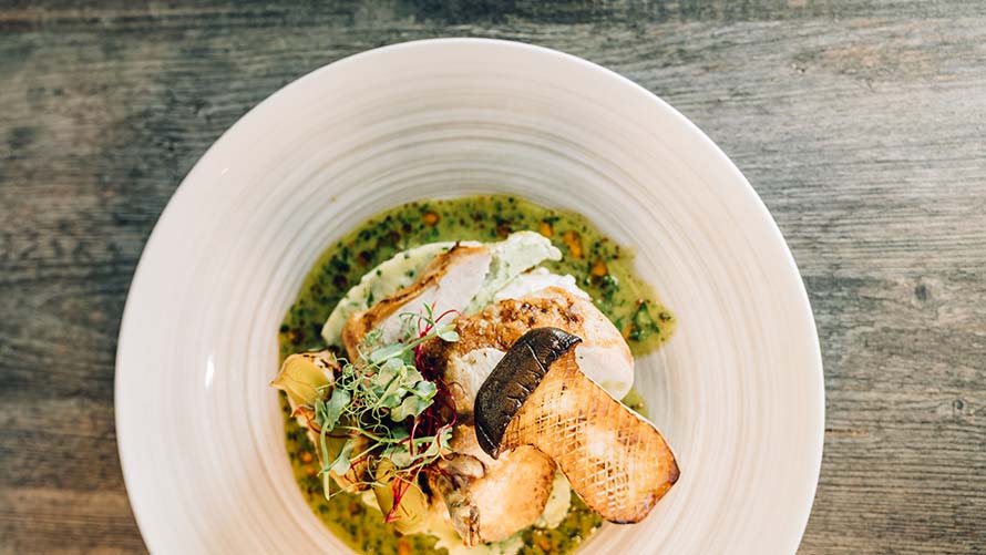 delicately prepared dish of bavarie with porcini mushrooms delicately prepared dish of bavarie with porcini mushrooms